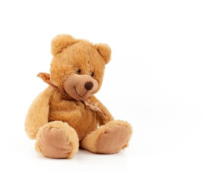 cute light brown fluffy teddy bear with a tie on his neck sitting on a white isolated background, toy for children, copy space