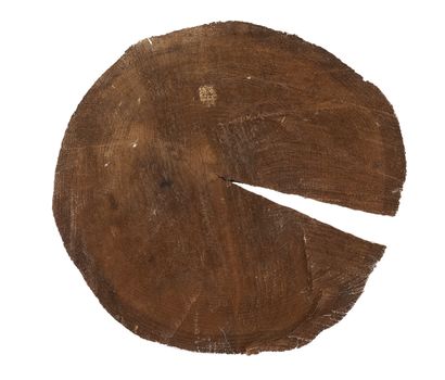 tree trunk cut isolated on a white background, close up