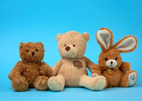 cute curly brown teddy bears and bunny, concept of support and friendship, toys on a blue background