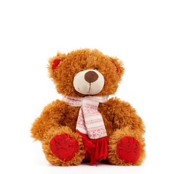 cute brown teddy bear in a colored knitted scarf sitting on a white background, close up
