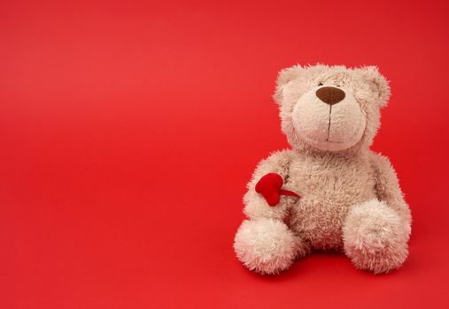 cute little brown teddy bear, toy is sitting on a red background, close up, copy space