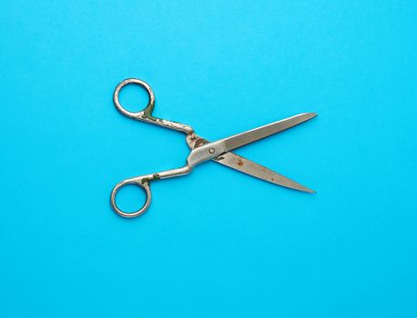 very old vintage metal tailor scissors on a blue background, close up