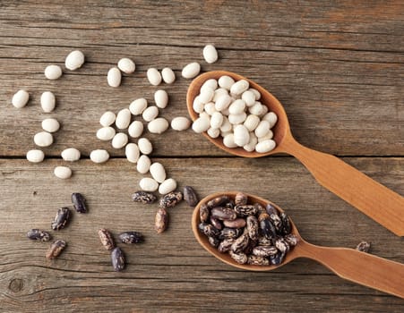 oval and round brown and white beans in a wooden spoon on a gray background from boards, top view