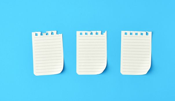 empty white sheets in a line torn out of notepad on a blue background, flat lay