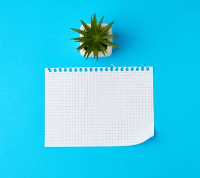 empty rectangular white sheet torn out of notepad on a blue background, top view 