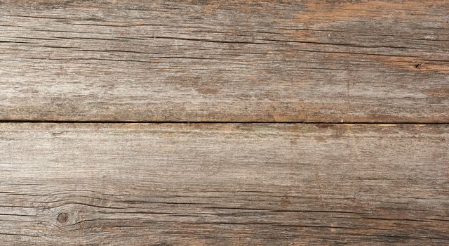 texture of a very old gray wooden board, full frame, backdrop for the designer, close up