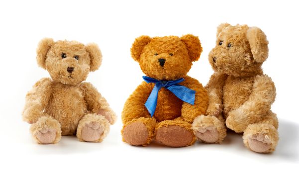 brown curly teddy bears sit on a white background, toys are isolated on a white background