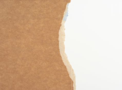torn edges of corrugated cardboard paper with white background, abstract backdrop template