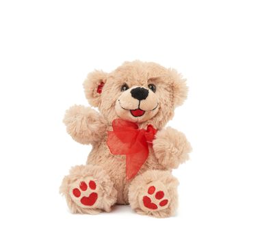 cute little brown teddy bear, toy is sitting on a white background, close up