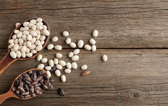 oval and round brown and white beans in a wooden spoon on a gray background from boards, top view
