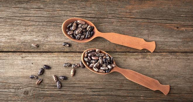 brown raw round beans in a wooden spoon on the table, top view