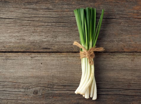 fresh green onion leaves tied with a rope in a bunch on a gray wooden background, top view