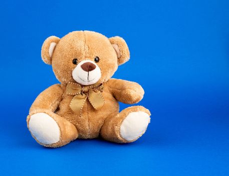 cute little brown teddy bear, toy is sitting on a blue background