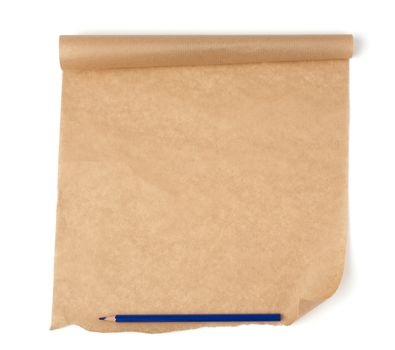 curled roll of brown parchment paper with curled edges and blue wooden pencil isolated on a white background, place for an inscription, element for a designer