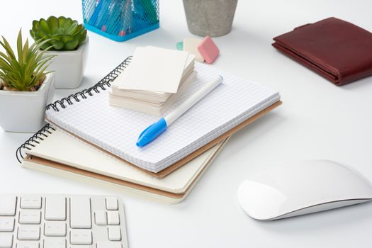 stack of notebooks, green plants in pots and a mouse, workplace of a freelancer, businessman. White table