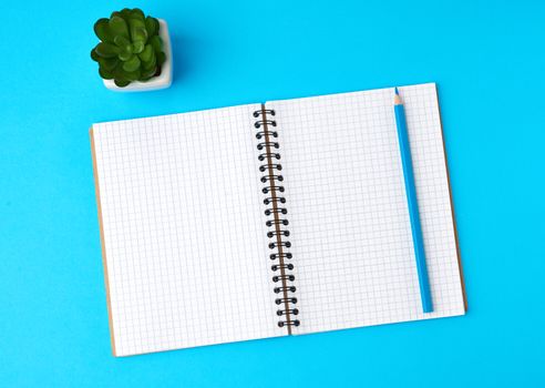 open notebook in a cage with white blank sheet and a blue wooden pencil, top view