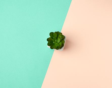 white ceramic pot with plant on a green beige background, copy space, top view
