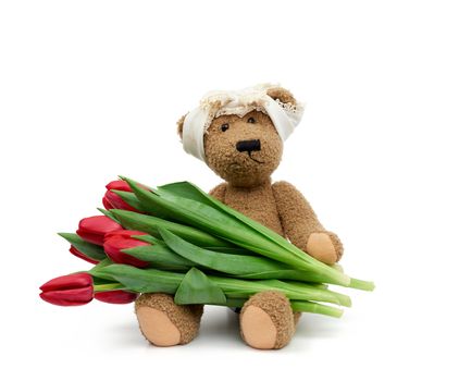 vintage cute brown teddy bear holds in his paw a red tulips, festive birthday backdrop, Valentine's day, anniversary. Toy isolated on a white background