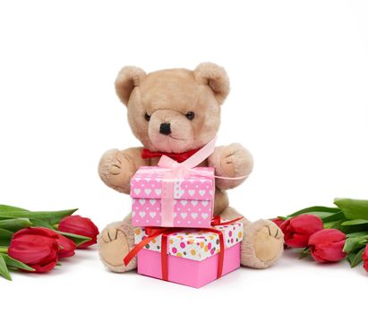 cute brown teddy bear holds in his paw a bouquet of red tulips next to a wrapped gift, festive birthday backdrop, Valentine's day, anniversary.  isolated on a white background