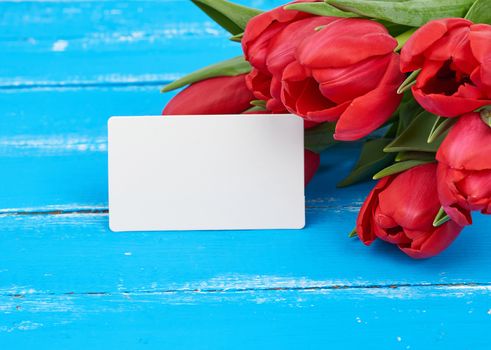 bouquet of red blooming tulips with green stems and leaves, flowers lie on a blue wooden background, and white blank paper business card, copy space