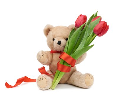 cute brown teddy bear holds in his paw a bouquet of red tulips, festive birthday backdrop, Valentine's day, anniversary. Toy isolated on a white background