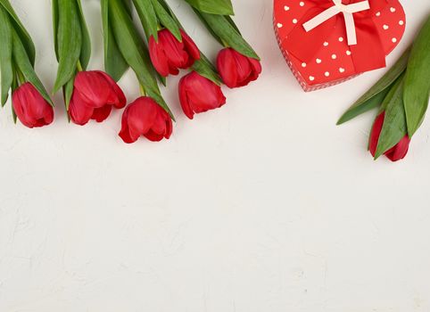 bouquet of red blooming tulips with green leaves, gift tied with a silk red ribbon on a white background, top view. Festive backdrop for birthday, Valentine's day