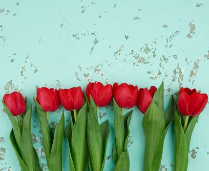 bouquet of red blooming tulips with green stems and leaves on a green cement background. Festive backdrop for birthday, Valentine's day, anniversary