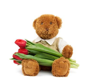 cute brown teddy bear holds in his paw a bouquet of red tulips, festive birthday backdrop, Valentine's day, anniversary. Toy isolated on a white background