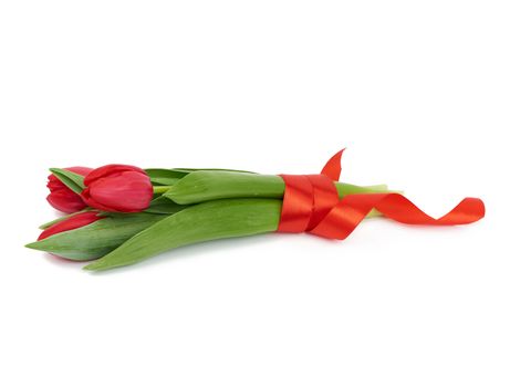 bouquet of fresh red blooming tulips with green leaves and stem isolated on white background with shadow, element for florist and designer, greeting flowers