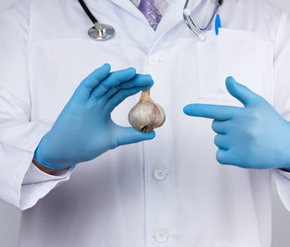 doctor in a white medical coat and blue rubber gloves holds a fresh head of garlic, prevention against viral diseases, traditional medicine