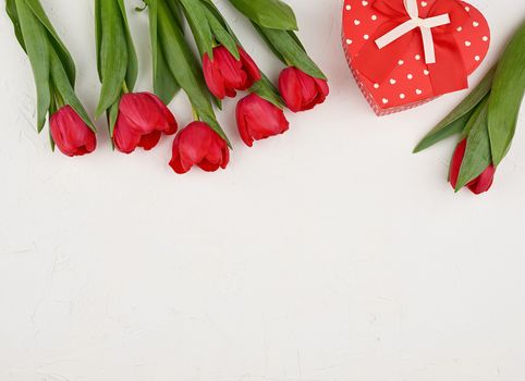 bouquet of red blooming tulips with green leaves, wrapped gift tied with a silk red ribbon on a white background, top view. Festive backdrop for birthday, Valentine's day