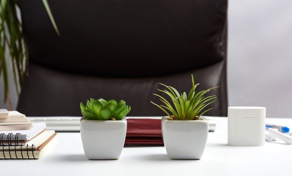 executive workplace, empty brown leather armchair, notepads on white table, flowerpots with green plants