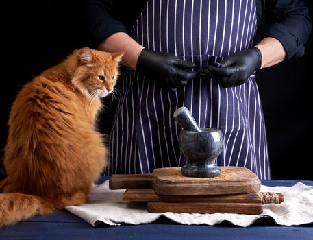 adult red cat sits on a table where a cook in a black uniform prepares food, black background