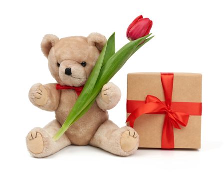 cute brown teddy bear holds in his paw a bouquet of red tulips next to a wrapped gift, festive birthday backdrop, Valentine's day, anniversary isolated on a white background