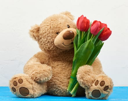 cute brown teddy bear with patches sits on a blue wooden background and holds in his paw a bouquet of red tulips, festive backdrop for birthday, Valentine's day, anniversary