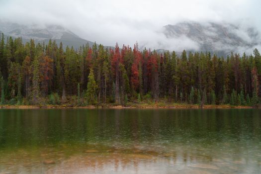 Honeymoon lake on a rainy day, Jasper, Alberta, Canada
