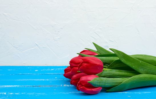 bouquet of red blooming tulips with green stems and leaves, flowers lie on a blue wooden background, copy space