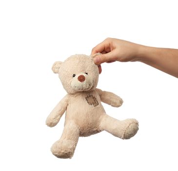 female hand holds the ear of a small beige cute teddy bear with patches, toy is isolated on a white background
