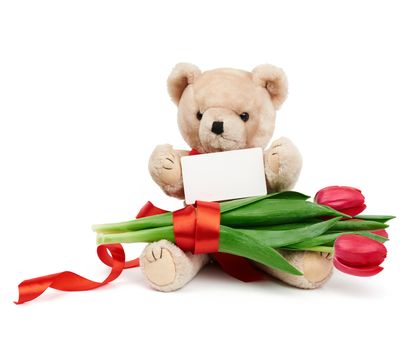 beige teddy bear sitting on an isolated white background a bouquet of red blooming tulips and a white rectangular paper business card for writing congratulation text, festive backdrop for birthday and Valentine's day