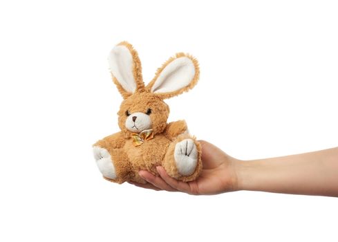 female hand holds a small brown rabbit toy, isolated white background