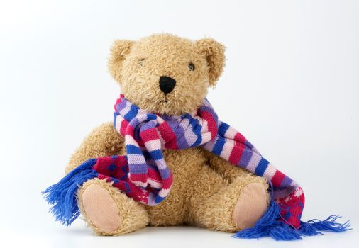 cute brown teddy bear in a colored knitted scarf sitting on a white background, close up
