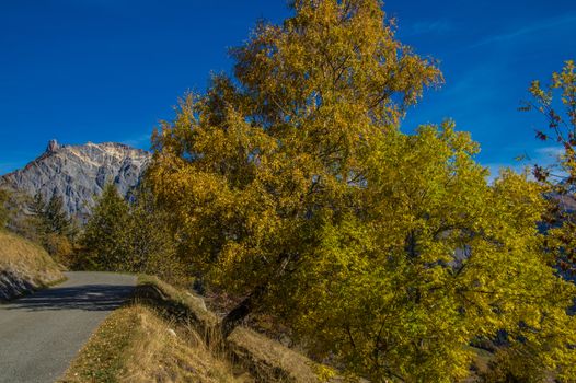 levron,valais,swiss