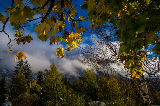 argentiere,chamonix,haute savoie,france