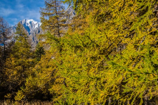 refuge bonatti,courmayeur,italy