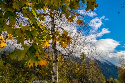 argentiere,chamonix,haute savoie,france