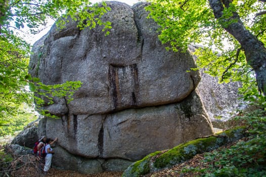 massif of the daisy in lozere