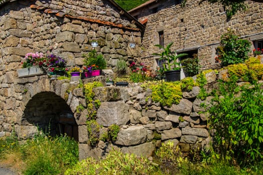 massif of the daisy in lozere