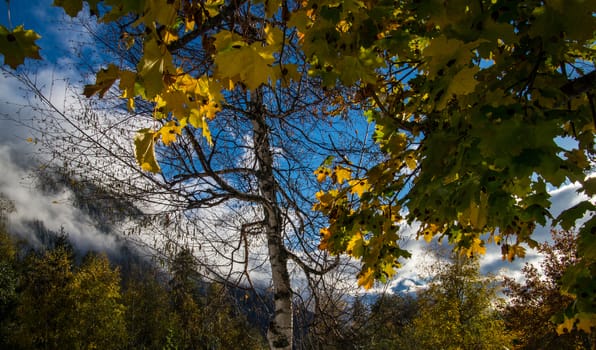argentiere,chamonix,haute savoie,france
