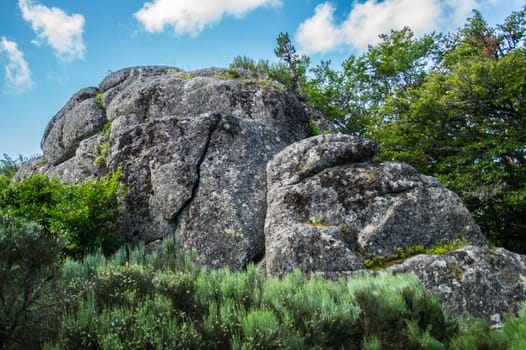 massif of the daisy in lozere