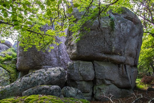 massif of the daisy in lozere